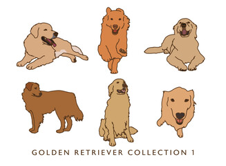 Golden Retriever Color Illustrations 1	
