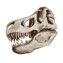 Naklejka premium Theranosaurus head. Dinosaur skeleton. Skull with teeth. Prehistoric fossil. Watercolor illustration without background. Monochrome illustration. Jurassic era.