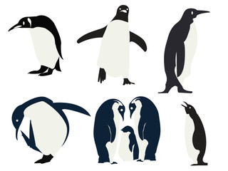 Naklejka premium Penguin silhouettes from the Arctic and Antarctic, a big collection of vector silhouettes, with a white background