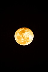 moon in the night sky