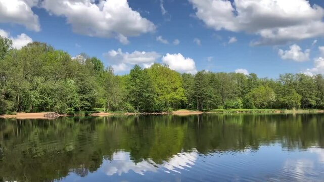 spring landscape on the river bank