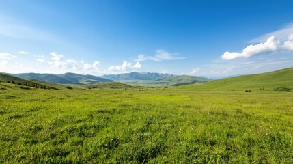 Fototapeta premium A vast green landscape under a bright blue sky, featuring rolling hills and scattered clouds, creating a serene and peaceful atmosphere.