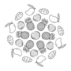 exotic fruits decorative ornament in vector