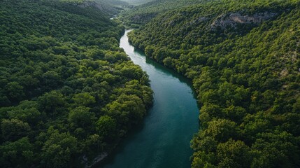 A serene river winds through lush, green forests, showcasing the beauty of nature and the tranquility of the landscape.