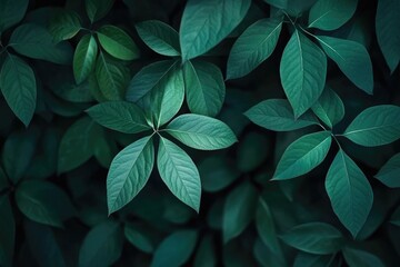 Lush green leaves densely packed together (2)