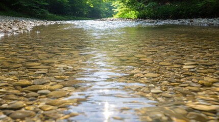 Fototapeta premium A serene river flows over smooth stones, surrounded by lush greenery, reflecting sunlight on its clear surface.