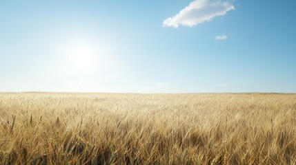 A serene landscape featuring a vast field of golden wheat under a clear blue sky with a few clouds.