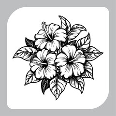 Vintage Floral Hibiscus Illustration