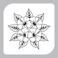 Vintage Floral Hibiscus Illustration