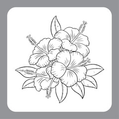 Decorative Floral Line Drawing