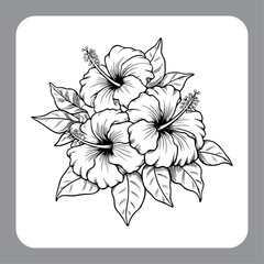 Beautiful Hibiscus Ink Illustration