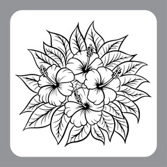 Monochrome Hibiscus Botanical Art