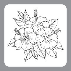 Monochrome Hibiscus Botanical Art