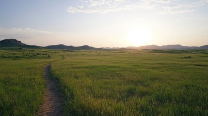 Naklejka premium A serene landscape at sunset, featuring a winding dirt path through lush green fields, surrounded by distant hills under a bright sky.