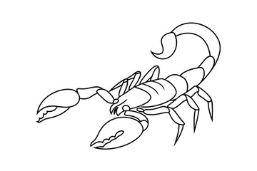 Line Art Drawing of a Desert Scorpion, Arachnid, Eight Legs