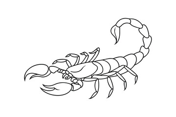 Line Art Drawing of a Scorpion Arachnid, Venomous, Desert Creature