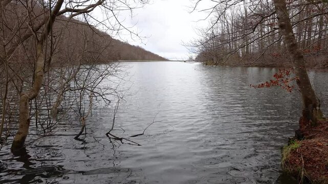 Orilla del lago un d&iacute;a nublado y fr&iacute;o. Pantano de Santa Fe del Montseny en invierno