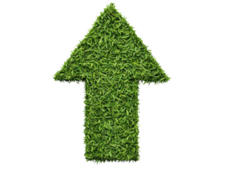 Green arrow made of grass symbolizing growth and progress on a transparent background, cut out