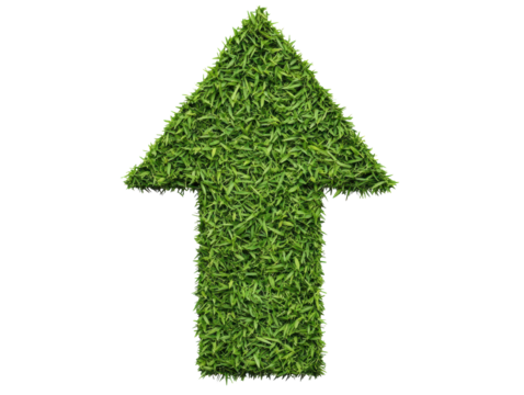 Green arrow made of grass symbolizing growth and progress on a transparent background, cut out