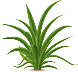 Green grass thriving on a white background, symbolizing nature, freshness, and the spring season, perfectly suited for environmental or botanical projects