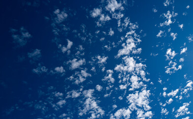 Horizon view with cloudy skies. Cumulus clouds in sky. Blue cloudscape. Sky background. Cloudy sky with sunlight. White clouds floating high. Blue sky and white clouds. Fresh air and bright clouds.