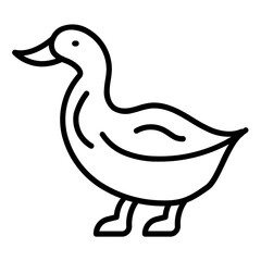 Duck
