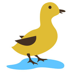 duck vector illustration design