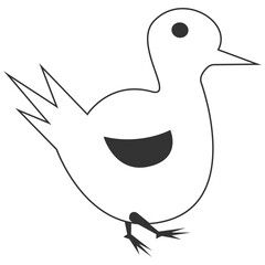 chicken vector illustration design