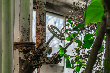 old water valve on rusty heating pipes. heating in a production greenhouse. heating valve among greenhouse plants.