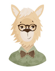 Fashionable Llama in Glasses