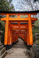 The iconic red torii gates form a path at Fushimi Inari Shrine in Kyoto, Japan. Donated by companies and individuals, each gate symbolizes gratitude to Inari, god of rice and prosperity.