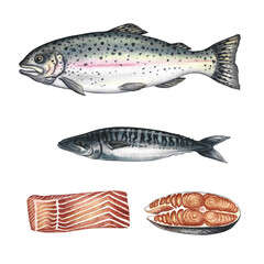 A set with fish, trout, mackerel and pieces of fish. A hand-drawn watercolor illustration. Color image of seafood. Separate from the background. For menus, recipe books, packages, labels, invitations.