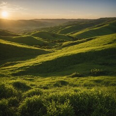 Obraz premium green field and mountains