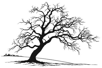 4 Bare tree, twisted branches, gnarled trunk, winter landscape, isolated on white background, detailed bark texture, organic shapes, monochromatic, high contrast, stark, haunting, nature photography, 