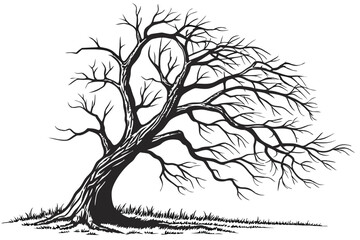 4 Bare tree, twisted branches, gnarled trunk, winter landscape, isolated on white background, detailed bark texture, organic shapes, monochromatic, high contrast, stark, haunting, nature photography, 