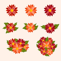 Bright colorful flowers set. Botanical vector illustration on isolated background.