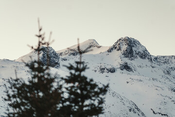 Snowy mountain summit beyond trees above Ersfjord. near Tromso, Norway.