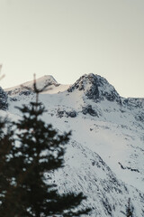 Snowy winter mountain summit beyond trees above Ersfjord. near Tromso, Norway.