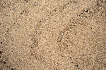 Close-up of textured beach sand with small pebbles and organic debris. The fine grains create a natural pattern, showcasing earthy tones and subtle variations in color, perfect for backgrounds or text