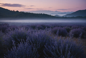 Gradient from midnight indigo to misty lavender
