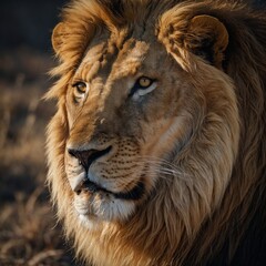 portrait of a lion