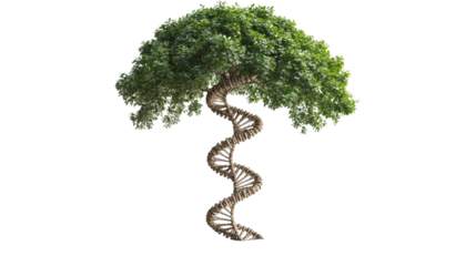 Tree with dna-shaped trunk and lush green foliage, genetic engineering concept