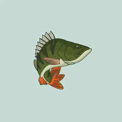 image perch fish