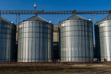 Four large metal silos stand tall against a bright blue sky at an agricultural site. The structures are essential for grain storage and processing