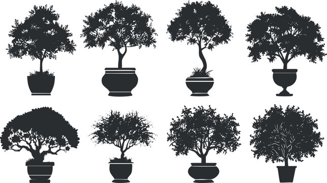 Silhouettes of various bonsai trees in pots on a white background.