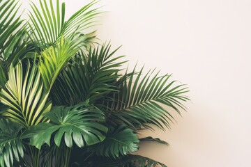 Obraz premium 緑豊かな観葉植物がインテリアを彩る家庭の一角