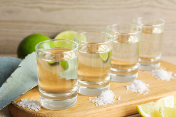 Tequila shots with salt, limes and agave leaves on table, closeup