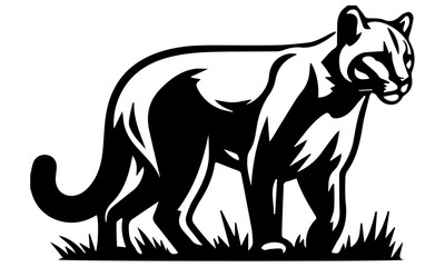 wolf vector illustration