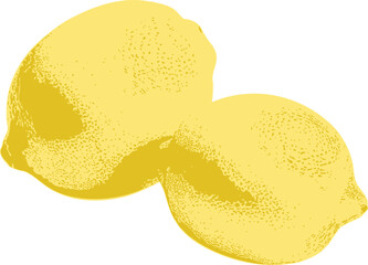A stylized vector depiction of two whole lemons placed side by side, showcasing their smooth curves and subtle imperfections. The design uses a minimalist yet detailed approach.