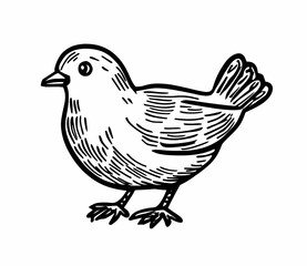 Fototapeta premium Minimalist Vintage Line Art of a Bird